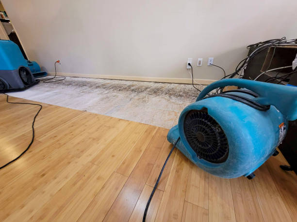 Professional Water Damage Repair technician working in Waynesburg, OH